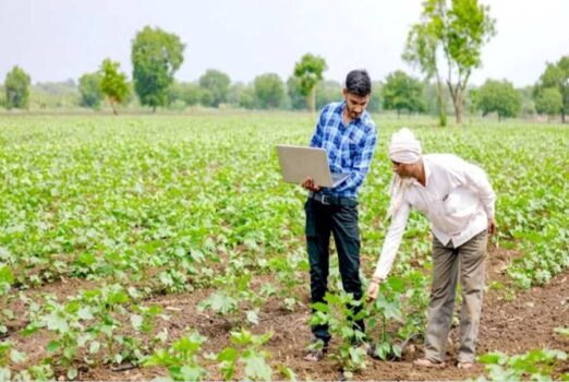 Agricultural innovation through CSR