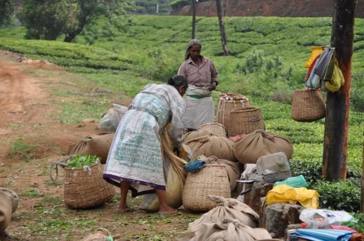 bonded labour