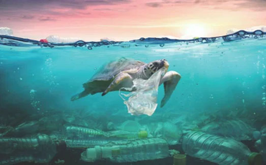 CSR plastic pollution initiatives