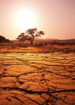 Sustainability through Interact clubs