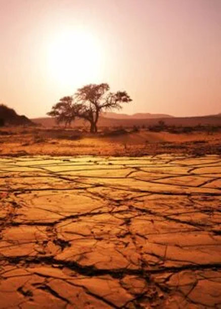 Sustainability through Interact clubs