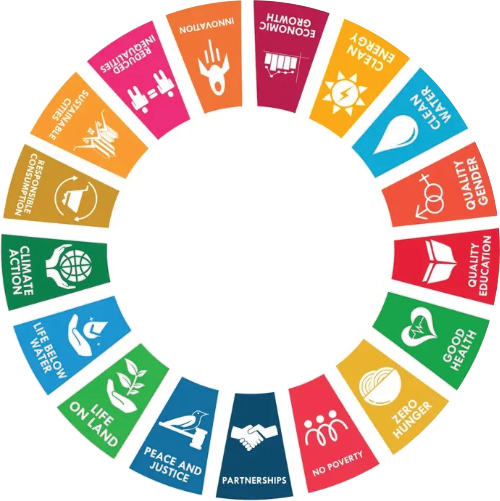 SDG wheel