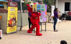 Millets education for students