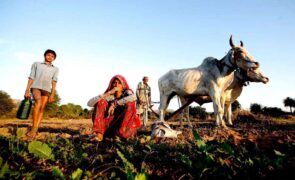 News on CSR reporting standards and best practices
