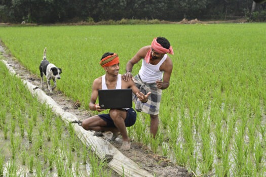 Digital Transformation and CSR in India