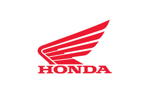 Government‑CSR collaboration