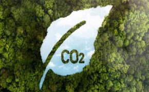 Green energy transition India