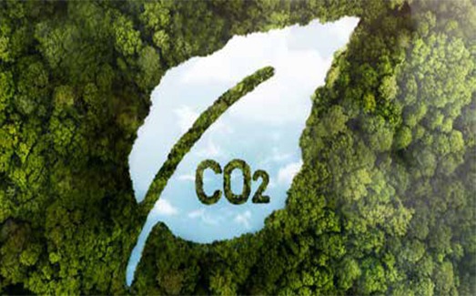 Green energy transition India