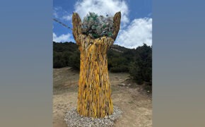 Plastic recycling CSR