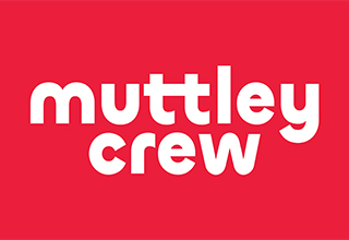 festive joy for rescue dogs