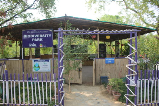 Photo 2.JPG