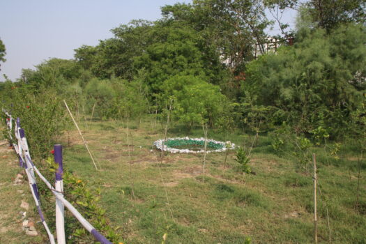 Photo 3.JPG