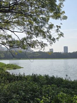 Powai Lake - Vaishnavi Moolya