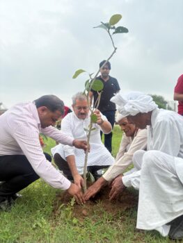 Plantation drive Image 2 (1)